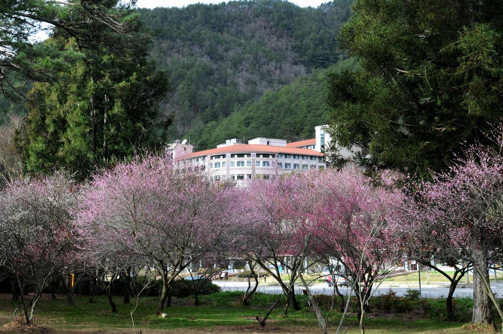 Hoya Resort, Wuling Heping  Buitenkant foto